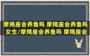 摩羯座会养鱼吗 摩羯座会养鱼吗女生/摩羯座会养鱼吗 摩羯座会养鱼吗女生-我的网站